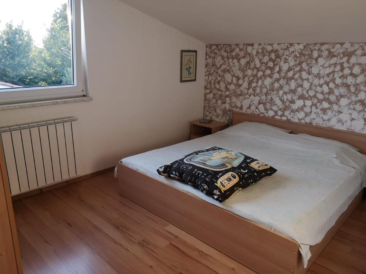 Apartment Samanta Šišan エクステリア 写真