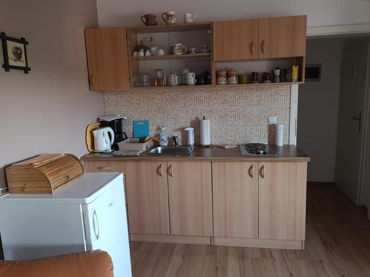 Apartment Samanta Šišan エクステリア 写真