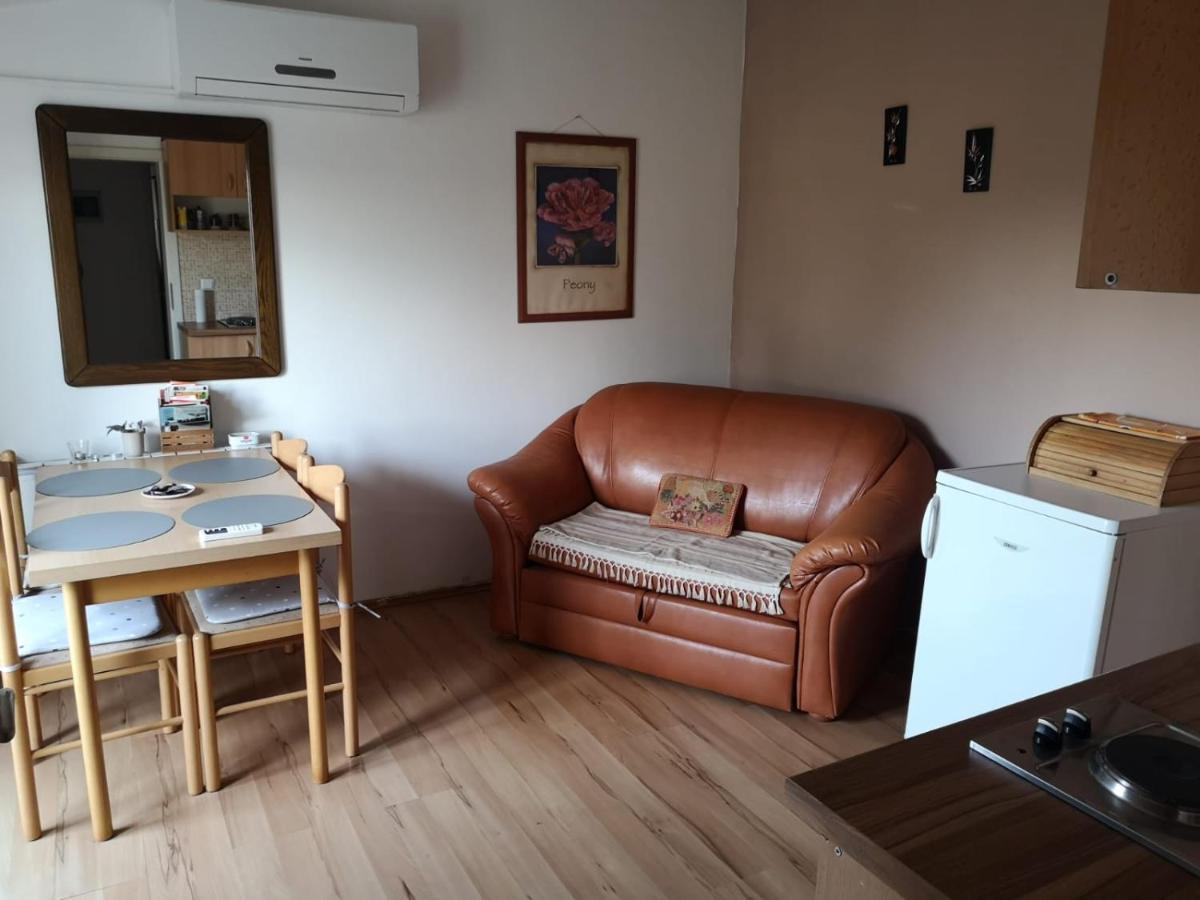 Apartment Samanta Šišan エクステリア 写真