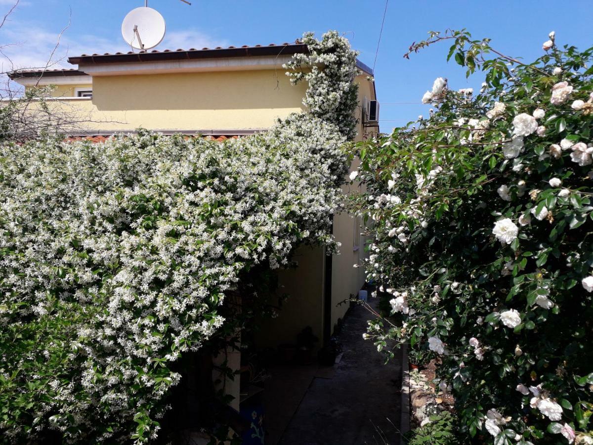 Apartment Samanta Šišan エクステリア 写真